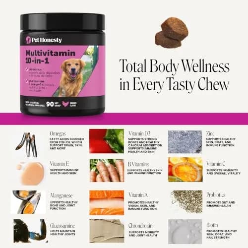 Pet Honesty Vet Recommended 10-in-1 Dog Multivitamin, 90 Ct, Chicken | Complete Dog Nutrition & Joint Support thumbnail 3