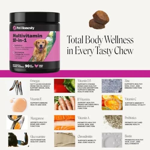 Pet Honesty Vet Recommended 10-in-1 Dog Multivitamin, 90 Ct, Chicken | Complete Dog Nutrition & Joint Support thumbnail 4