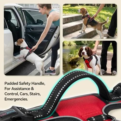 PHOEPET Reflective Dog Harness No Pull Large Breed Vest | Adjustable, Breathable Oxford, Reflective Material thumbnail 4
