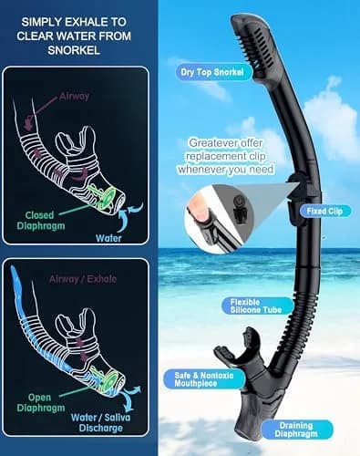 Greatever Snorkeling Gear for Adults Kids | Dry Snorkel Mask Set Anti-Fog with Wide View thumbnail 4