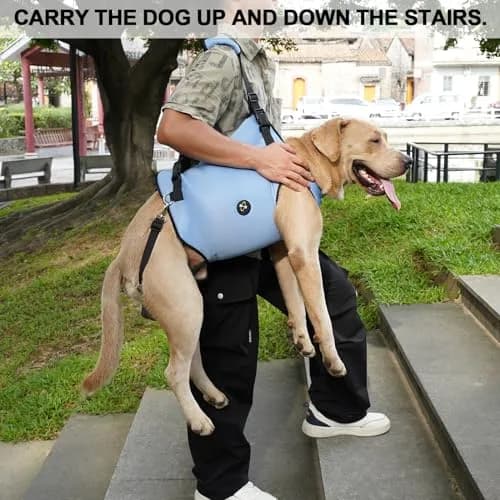 Coodeo Dog Lift Harness for Old & Disabled Dogs, XL Blue | Adjustable Padded Support Sling for Joint Injuries & Arthritis thumbnail 4