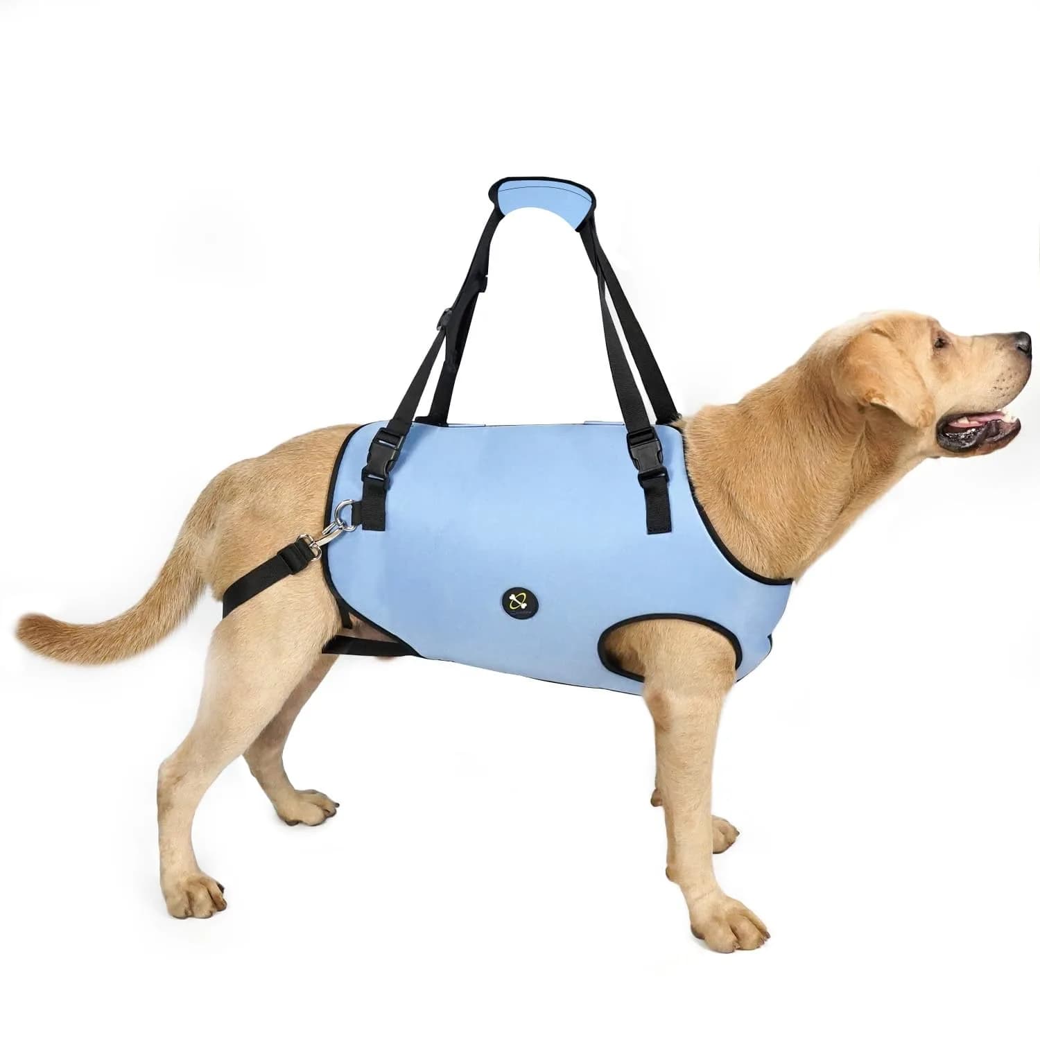 Coodeo Dog Lift Harness for Old & Disabled Dogs, Blue, Small (0.23 kg / 0.51 lb) | Adjustable Support Sling for Joint Injuries & Arthritis — Blue