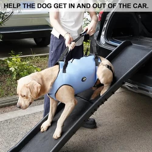 Coodeo Dog Lift Harness for Old & Disabled Dogs, Blue, Small (0.23 kg / 0.51 lb) | Adjustable Support Sling for Joint Injuries & Arthritis thumbnail 5