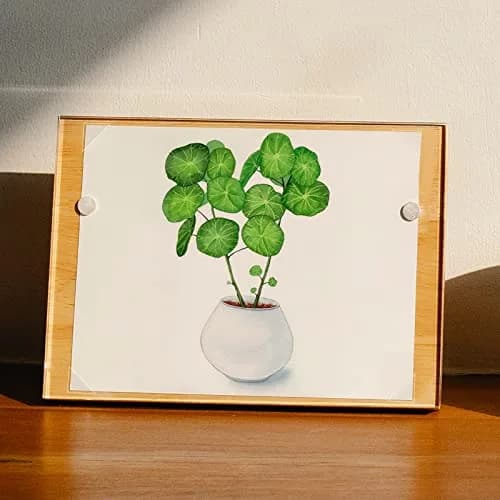 Lineco Infinity Clear Archival Photo Corners 1.58 cm (0.625 Inch) Pack of 1000 | Acid-Free Mounting for Photos & Documents thumbnail 7