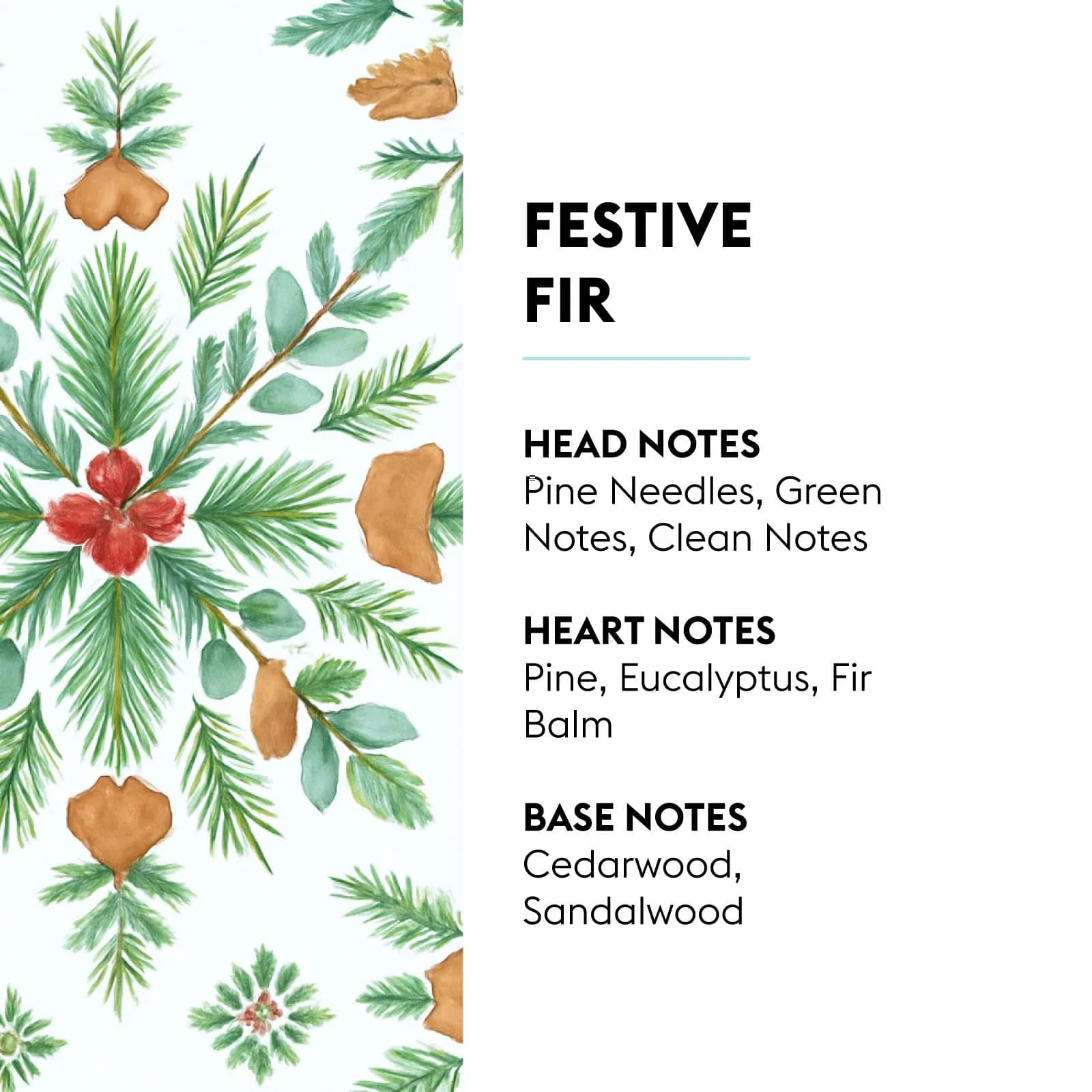 MAISON BERGER Festive Fir Fragrance Refill 500ml (16.9 Fl Oz) | Odor Neutralizing Home Fragrance - view 2