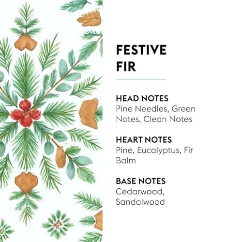 MAISON BERGER Festive Fir Fragrance Refill 500ml (16.9 Fl Oz) | Odor Neutralizing Home Fragrance thumbnail 2