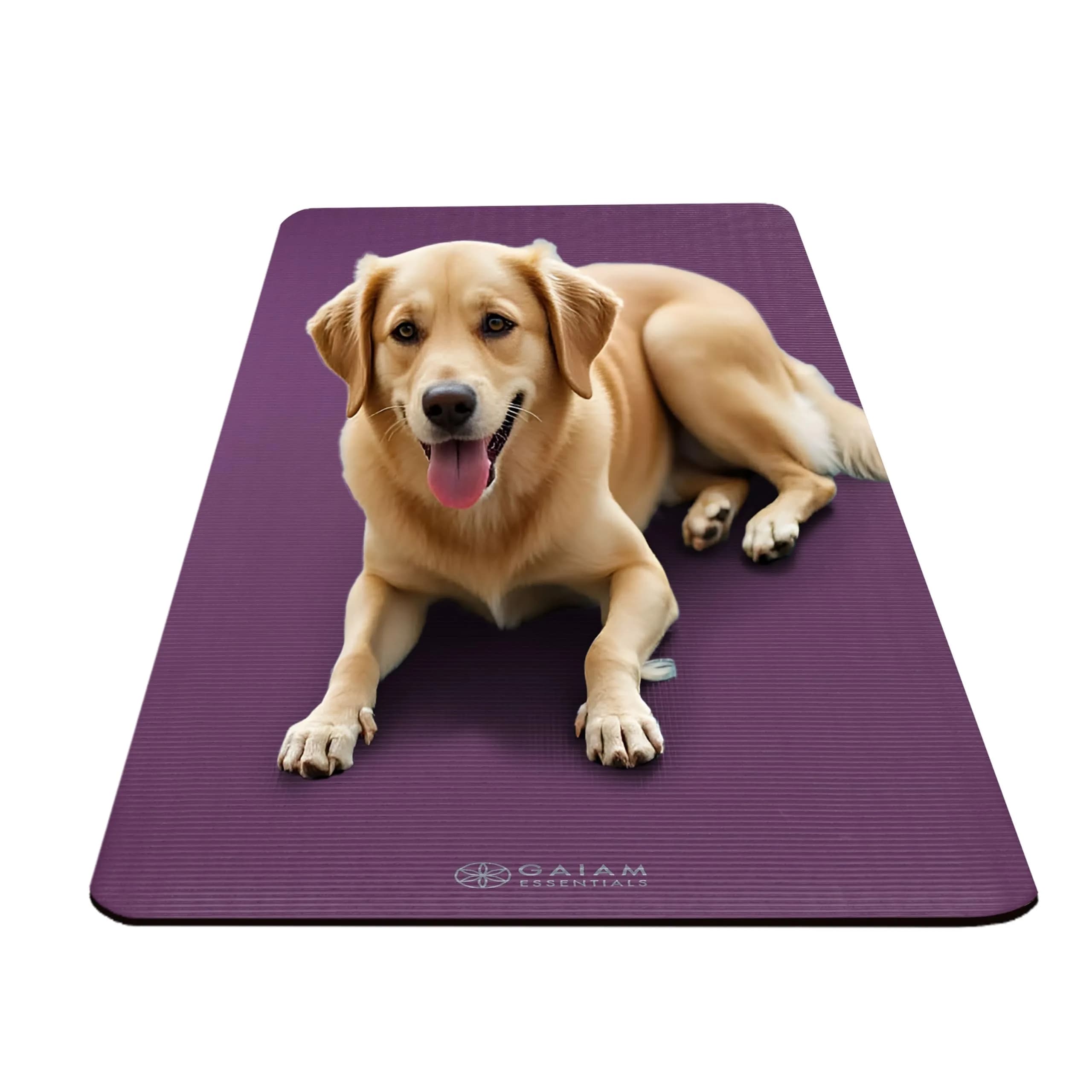Gaiam Essentials Thick Yoga Mat 10mm (0.4 Inch) with Carrier Strap | Non-Slip Purple Exercise Mat - view 6
