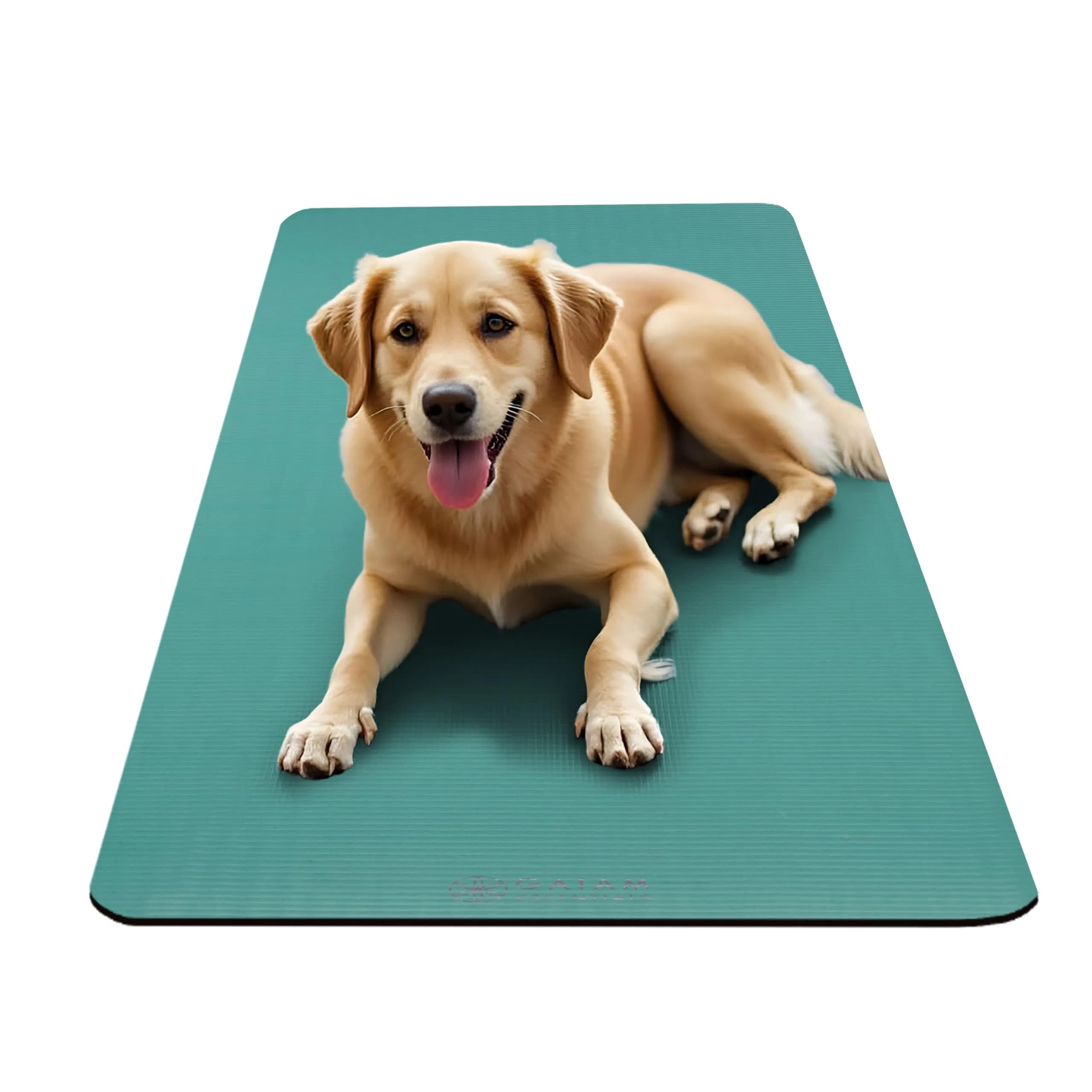Gaiam Essentials Thick Yoga Mat with Easy-Cinch Strap (Teal, 10mm / 0.39 Inch) | Extra-Thick Cushioning for Joint Comfort - view 6