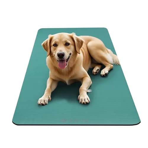 Gaiam Essentials Thick Yoga Mat with Easy-Cinch Strap (Teal, 10mm / 0.39 Inch) | Extra-Thick Cushioning for Joint Comfort thumbnail 6
