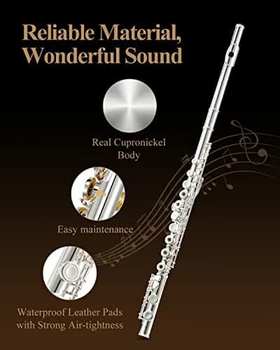 Eastar Open Hole Flute C Key for Beginners, 16 Keys Offset G Split E Student Flute with Case, Fingering Chart, Stand, Cleaning Kit, Advanced Silver Plated, EFL-2 thumbnail 4