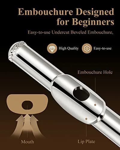 Eastar Open Hole Flute C Key for Beginners, 16 Keys Offset G Split E Student Flute with Case, Fingering Chart, Stand, Cleaning Kit, Advanced Silver Plated, EFL-2 thumbnail 2