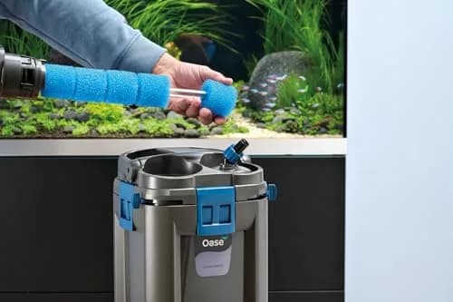 OASE Indoor Aquatics Carbon Pre-Filter Foam Set of 6 | Customizable Aquarium Filtration (100-120 chars) thumbnail 5