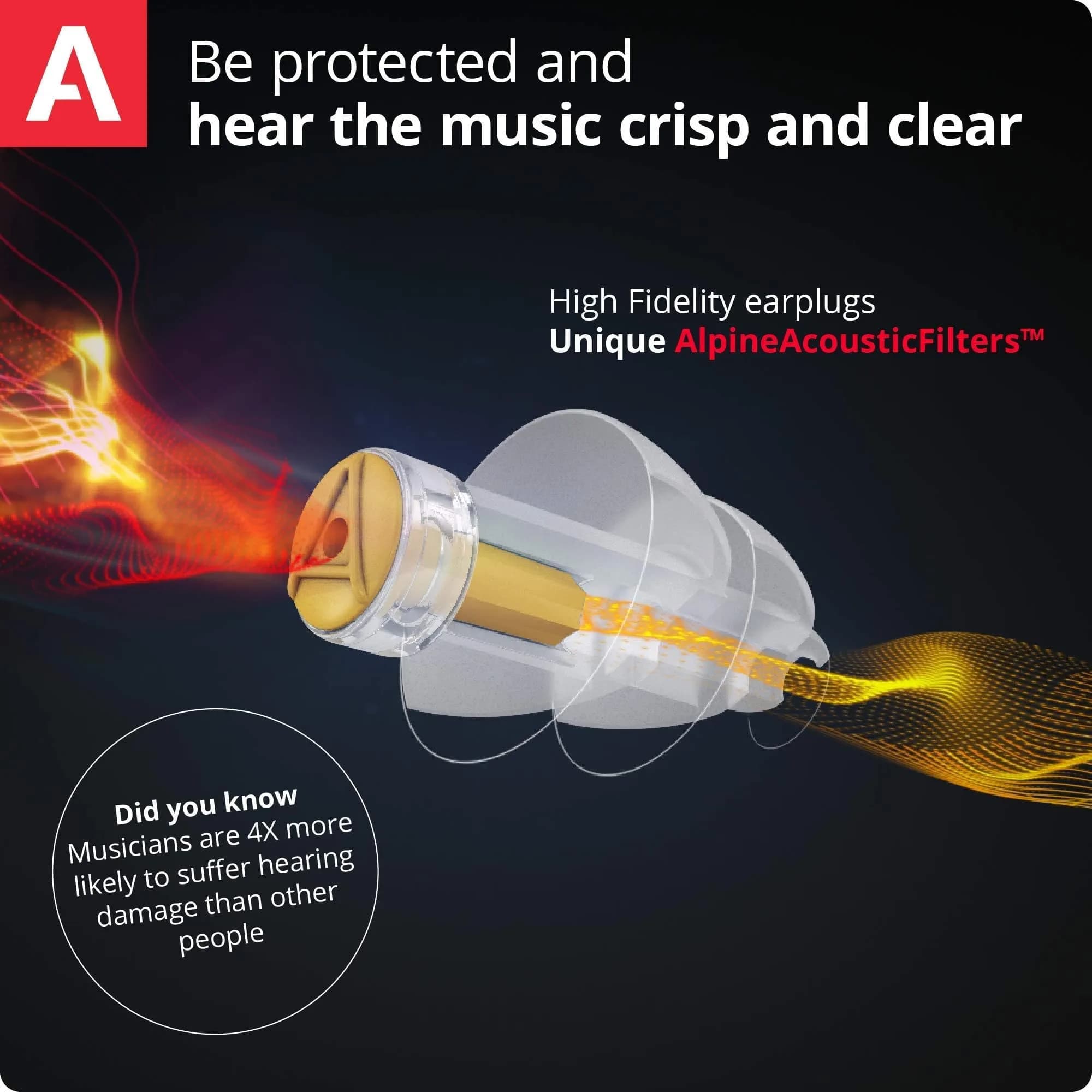 Alpine MusicSafe Pro Earplugs (2 Pairs, Black) | 3 Interchangeable Filters: 16, 19 & 22 dB - view 5