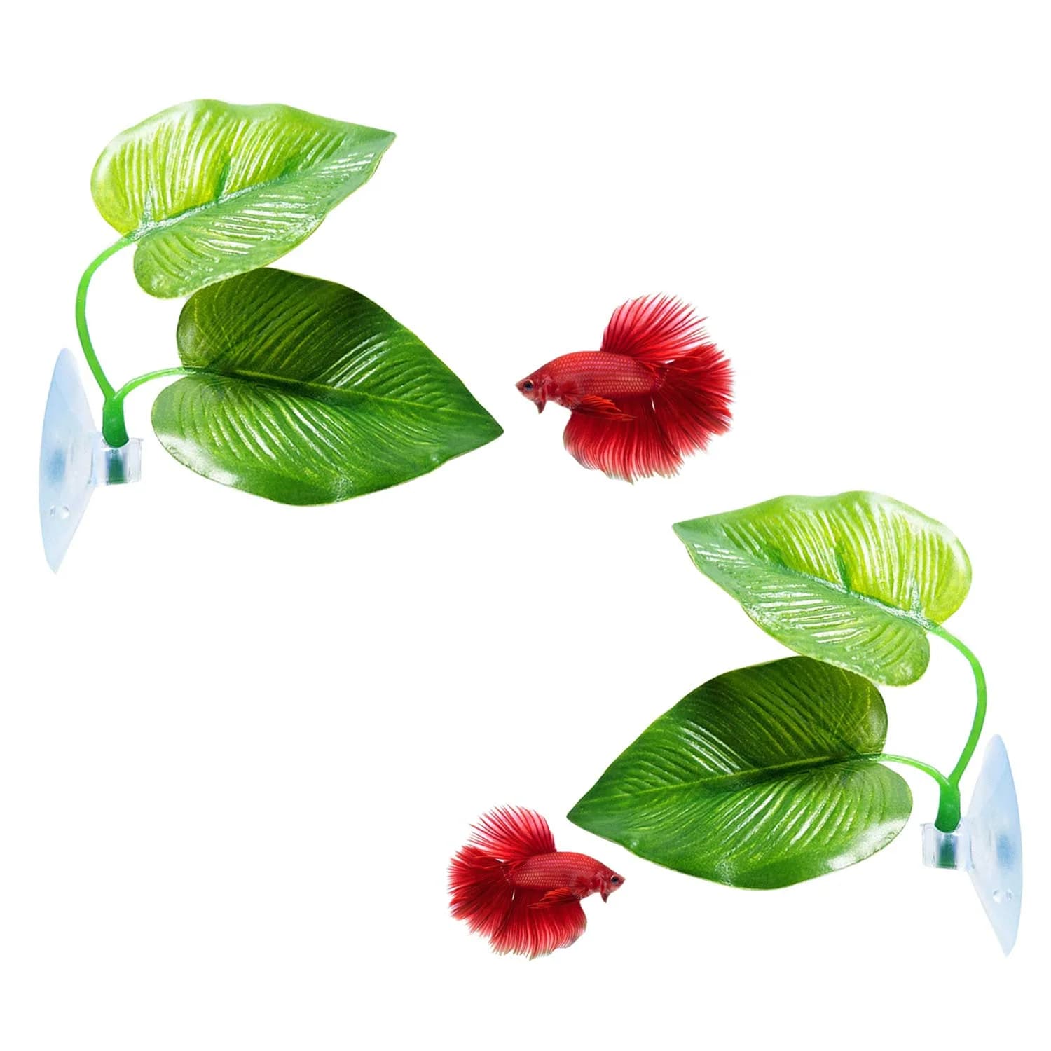 CousDUoBe 2 Pack Betta Fish Leaf Pad Hammock | Natural, Organic, Comfortable Rest Area for Fish Aquarium Ornaments