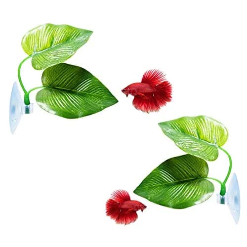 CousDUoBe 2 Pack Betta Fish Leaf Pad Hammock | Natural, Organic, Comfortable Rest Area for Fish Aquarium Ornaments thumbnail 1