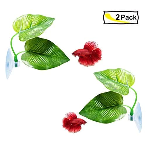 CousDUoBe 2 Pack Betta Fish Leaf Pad Hammock | Natural, Organic, Comfortable Rest Area for Fish Aquarium Ornaments thumbnail 7