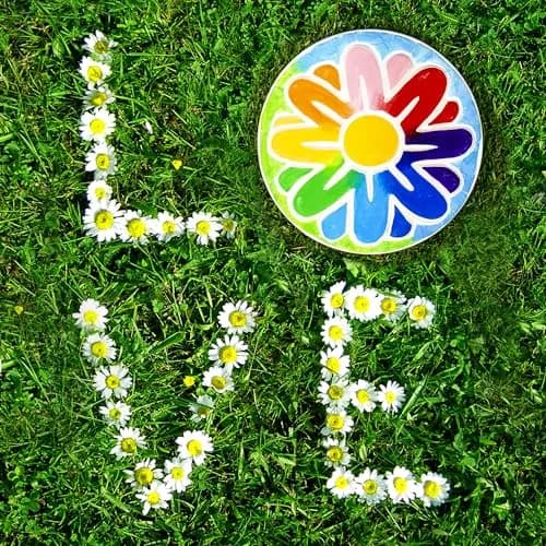 Creative Roots Mosaic Flower Garden Stepping Stone Kit | USA Imported Craft for Kids Ages 6+ - view 8