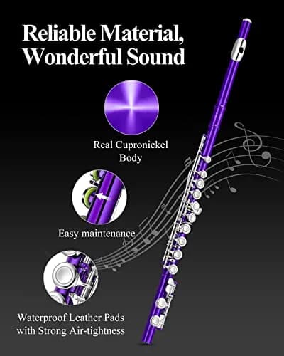 Eastar Closed Hole 16 Keys Flute for Beginner Kids Student with Fingering Chart, Cleaning Kit, Stand, Case, Gloves, Tuning Rod, Purple | Beginner Concert Flute thumbnail 5
