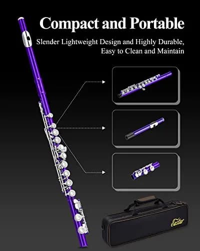 Eastar Closed Hole 16 Keys Flute for Beginner Kids Student with Fingering Chart, Cleaning Kit, Stand, Case, Gloves, Tuning Rod, Purple | Beginner Concert Flute thumbnail 7