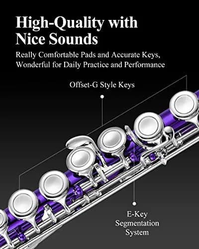 Eastar Closed Hole 16 Keys Flute for Beginner Kids Student with Fingering Chart, Cleaning Kit, Stand, Case, Gloves, Tuning Rod, Purple | Beginner Concert Flute thumbnail 3