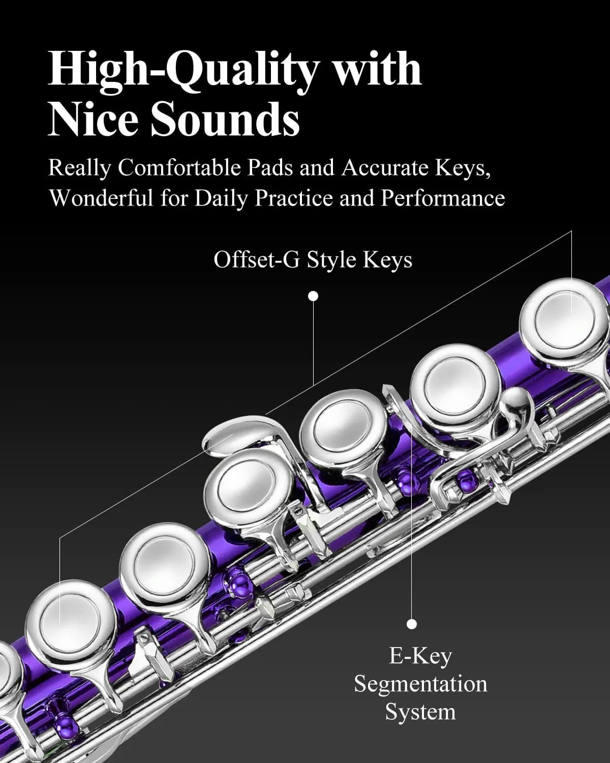 Eastar Purple Closed Hole 16 Keys Flute for Beginners - Student Model with Case & Accessories - view 3