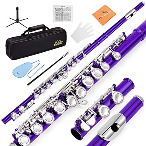 Eastar Open Hole Flute C Key for Beginners, 16 Keys Offset G Split E Student Flute with Case, Fingering Chart, Stand, Cleaning Kit, Advanced Silver Plated, EFL-2 — Purple