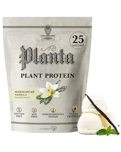 Ambrosia Plant Based Protein Powder 20g | Vegan & Keto Friendly Cinnamon Roll | Gluten & Dairy Free | 25 Servings — Vanilla