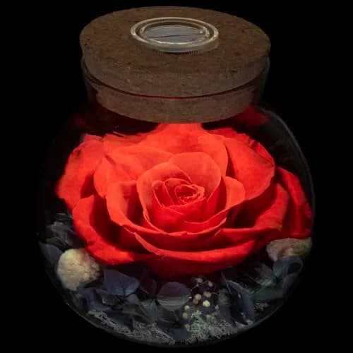 roliys Preserved Real Roses with Colorful Mood Light Wishing Bottle | Eternal Flower Decor thumbnail 1