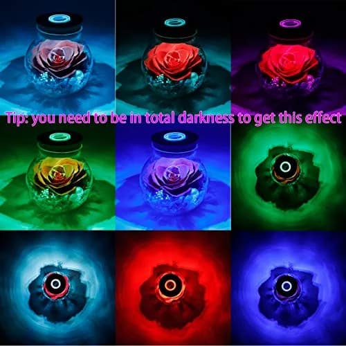 roliys Preserved Real Roses with Colorful Mood Light Wishing Bottle | Eternal Flower Decor thumbnail 4