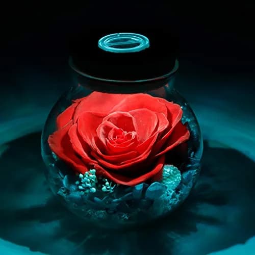 roliys Preserved Real Roses with Colorful Mood Light Wishing Bottle | Eternal Flower Decor thumbnail 5