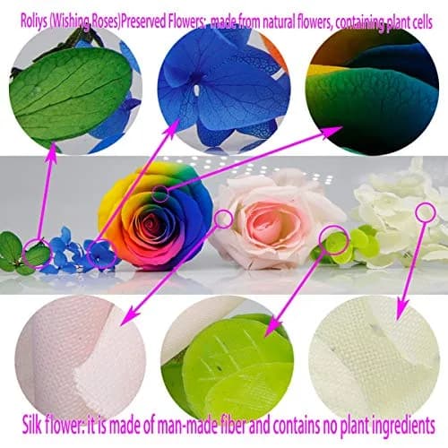 roliys Preserved Real Roses with Colorful Mood Light Wishing Bottle | Eternal Flower Decor thumbnail 7