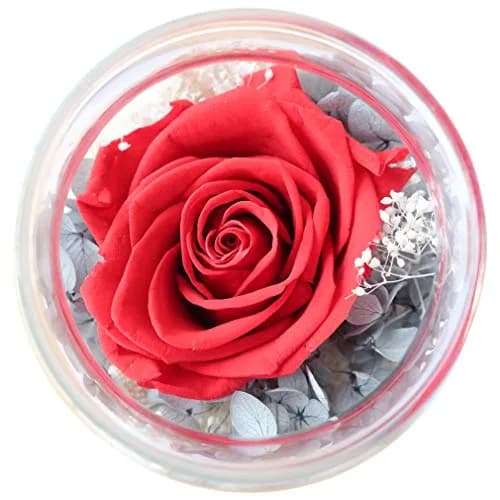 roliys Preserved Real Roses with Colorful Mood Light Wishing Bottle | Eternal Flower Decor thumbnail 8