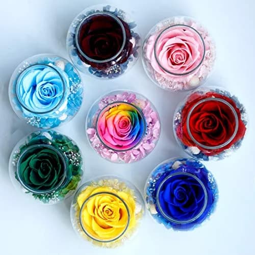 roliys Preserved Real Roses with Colorful Mood Light Wishing Bottle | Eternal Flower Decor thumbnail 9