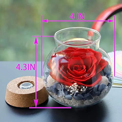 roliys Preserved Real Roses with Colorful Mood Light Wishing Bottle | Eternal Flower Decor thumbnail 2