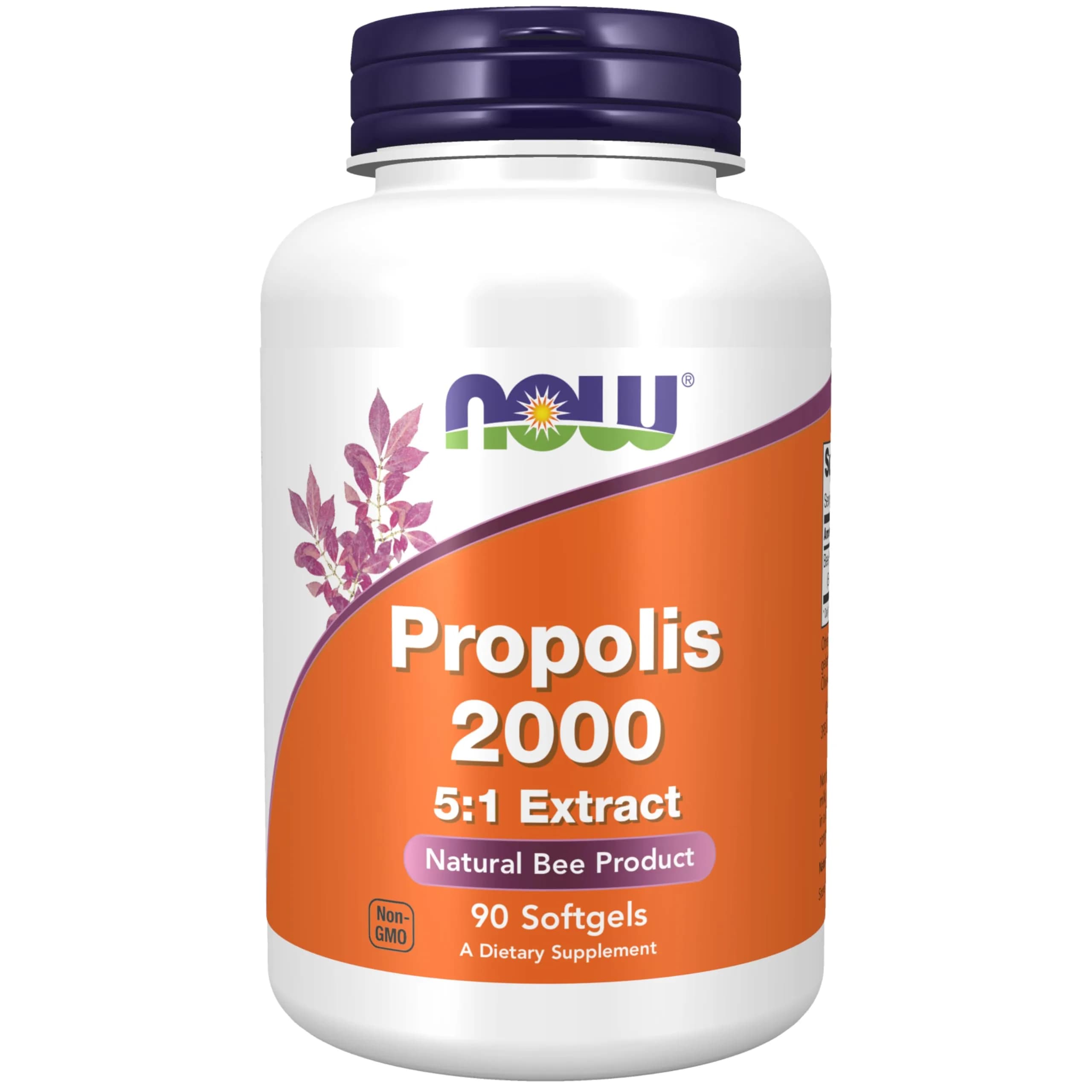 Now Foods Liquid Hyaluronic Acid 100mg | 16 Fl Oz | Supports Skin & Joints — 70 Softgels