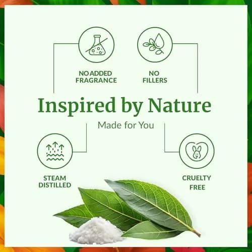 SVA ORGANICS Camphor Essential Oil - 4 Fl Oz (118 mL) Pure & Natural thumbnail 3
