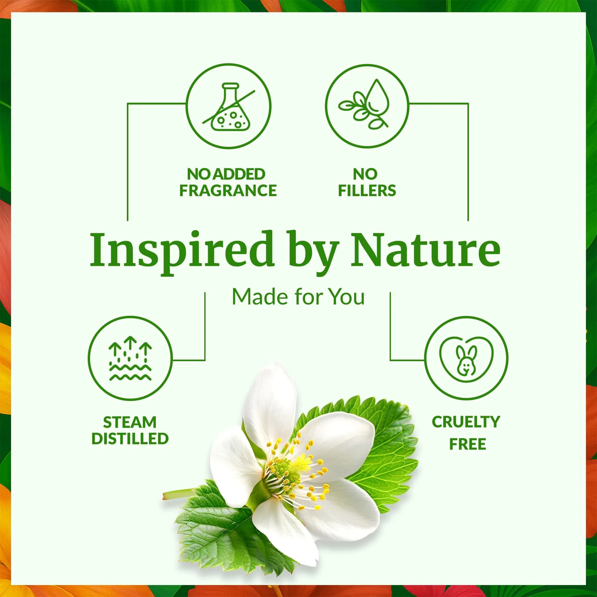 SVA Organics Manuka Essential Oil - 0.34 Fl Oz (Pack of 1) - Pure & Natural - view 3