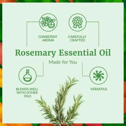 SVA ORGANICS Organic Rosemary Essential Oil 1 Fl Oz (30 ml) - Pure & Natural thumbnail 3