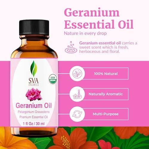 SVA ORGANICS Organic Geranium Essential Oil 1 Fl Oz (Pack of 1) | Pure & Natural Aromatherapy Oil thumbnail 2
