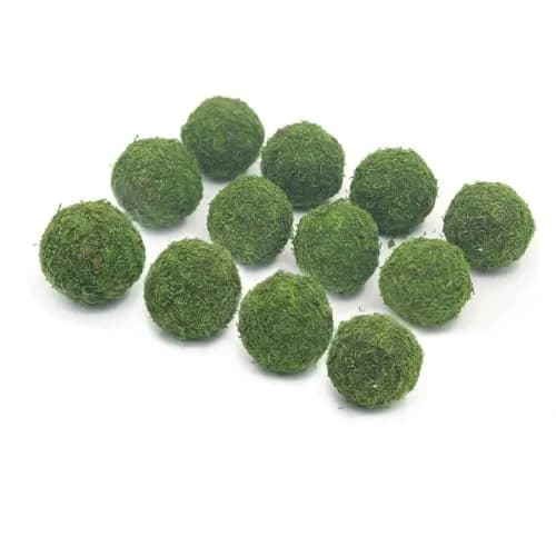 Nice purchase Handmade Natural Green Plant Moss Balls Decorative for Home Party Display Decor Props (2 in) thumbnail 1