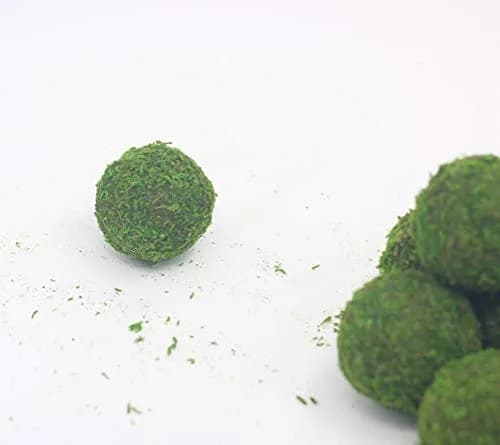 Nice purchase Handmade Natural Green Plant Moss Balls Decorative for Home Party Display Decor Props (2 in) thumbnail 4