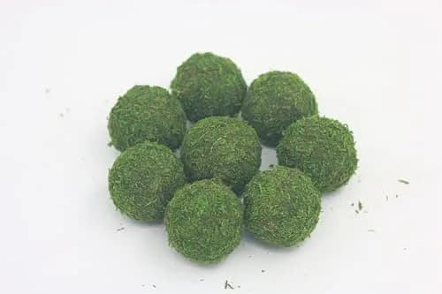 Nice purchase Handmade Natural Green Plant Moss Balls Decorative for Home Party Display Decor Props (2 in) thumbnail 5