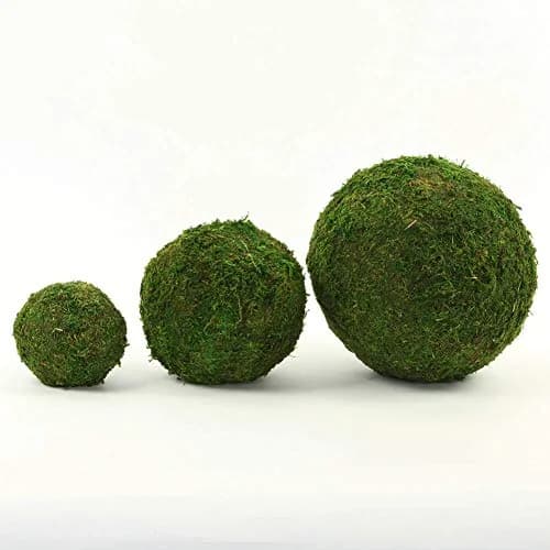 Nice purchase Handmade Natural Green Plant Moss Balls Decorative for Home Party Display Decor Props (2 in) thumbnail 6