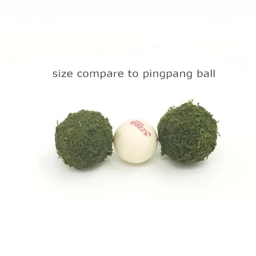 Nice purchase Handmade Natural Green Plant Moss Balls Decorative for Home Party Display Decor Props (2 in) thumbnail 3