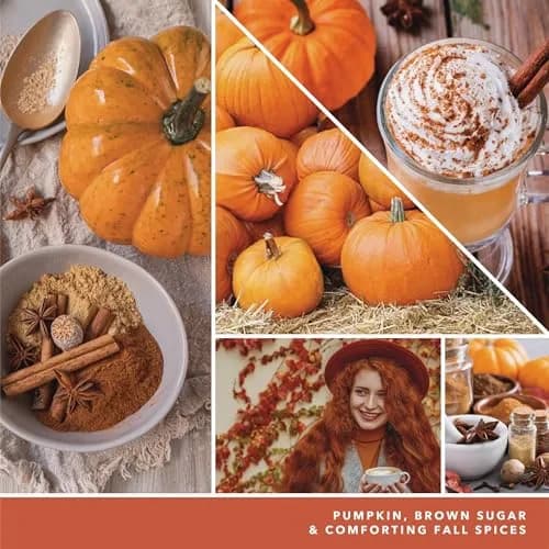 Yankee Candle Spiced Pumpkin Paper Car Jar Air Freshener (Pack of 3) | Long-Lasting Odor Neutralizing Fragrance thumbnail 3