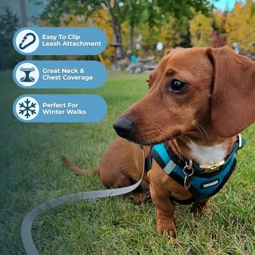 Best Pet Supplies Voyager Step-in Plush Dog Vest Harness -Turquoise Plush, XS | Breathable, Reflective & Easy to Wear thumbnail 5