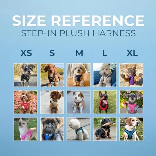 Best Pet Supplies Voyager Step-in Plush Dog Vest Harness -Turquoise Plush, XS | Breathable, Reflective & Easy to Wear thumbnail 6