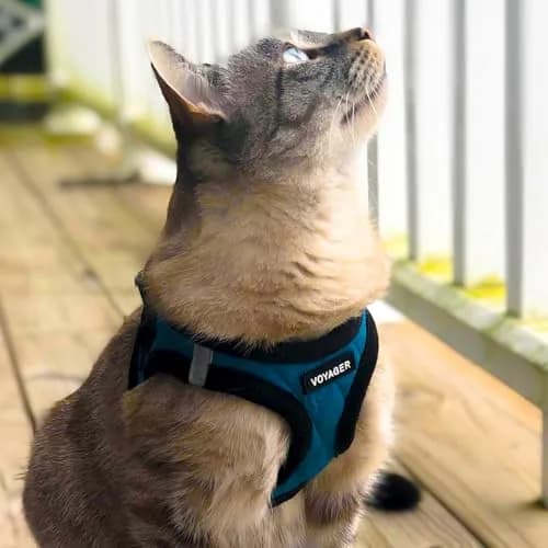 Best Pet Supplies Voyager Step-in Plush Dog Vest Harness -Turquoise Plush, XS | Breathable, Reflective & Easy to Wear thumbnail 8