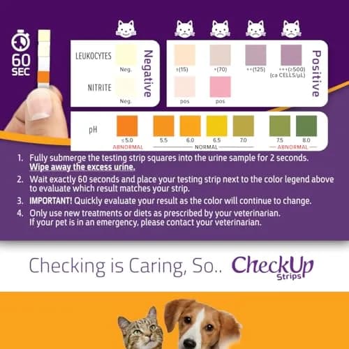 KIT4CAT CheckUp UTI Urine Test Strips for Dogs & Cats | 50 Count | pH, Nitrite & Leukocytes Detection thumbnail 5
