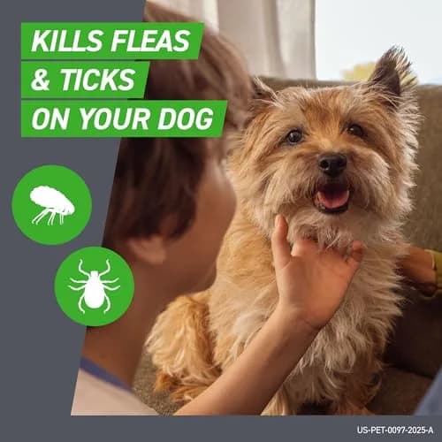 Frontline Plus Flea & Tick Treatment for Dogs 5-22 Pounds | Waterproof Monthly Protection thumbnail 2